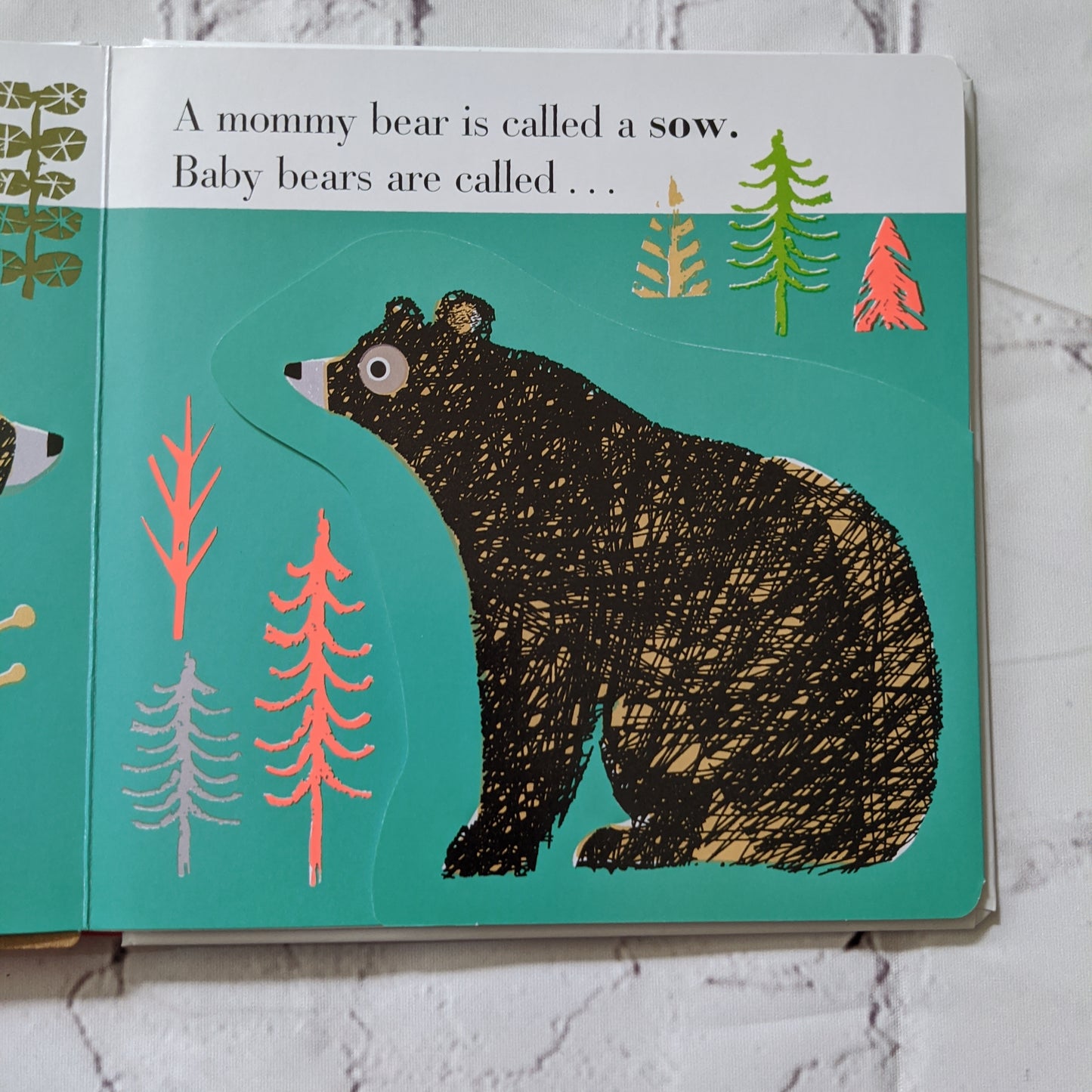 Forest - A Lift-the-Flap book