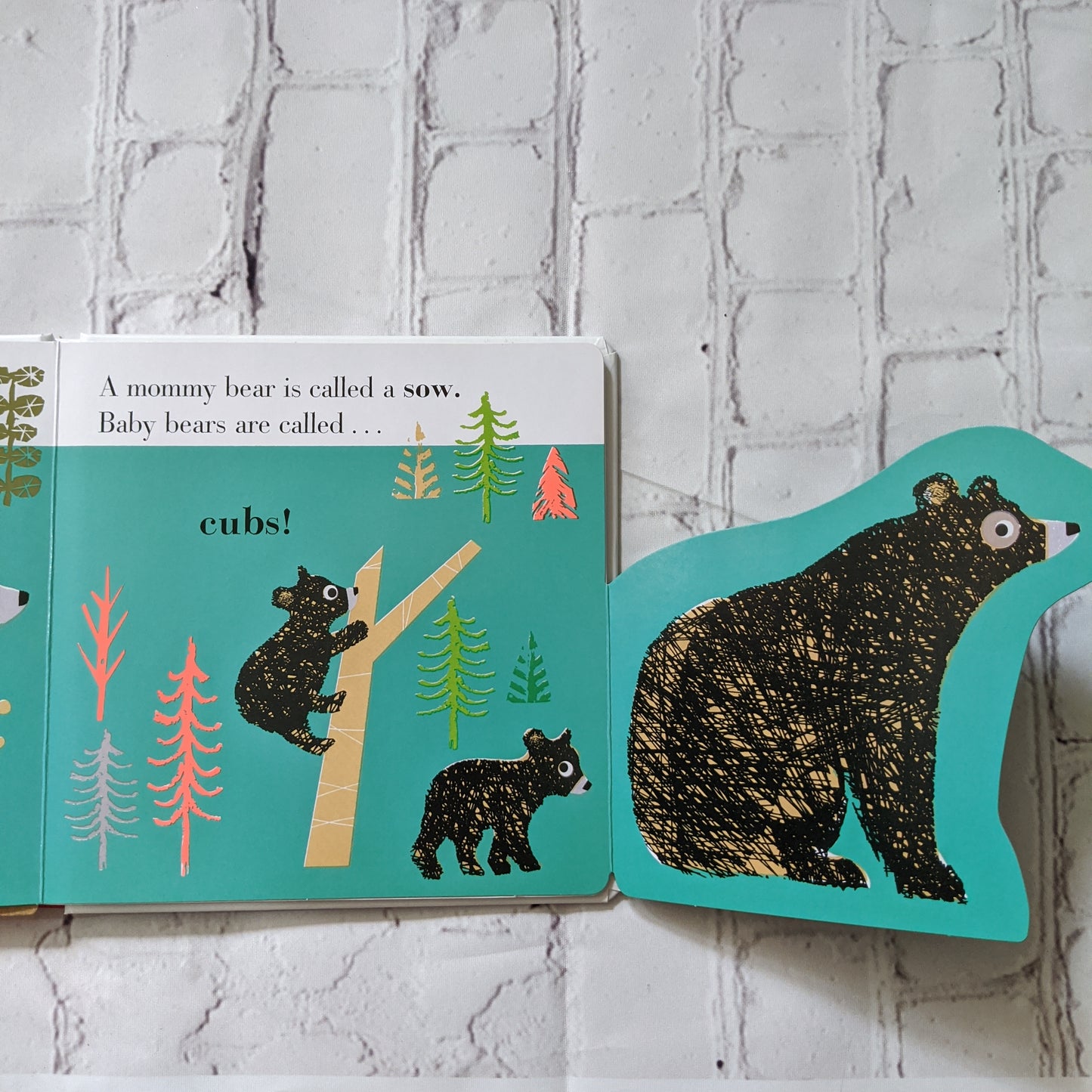 Forest - A Lift-the-Flap book