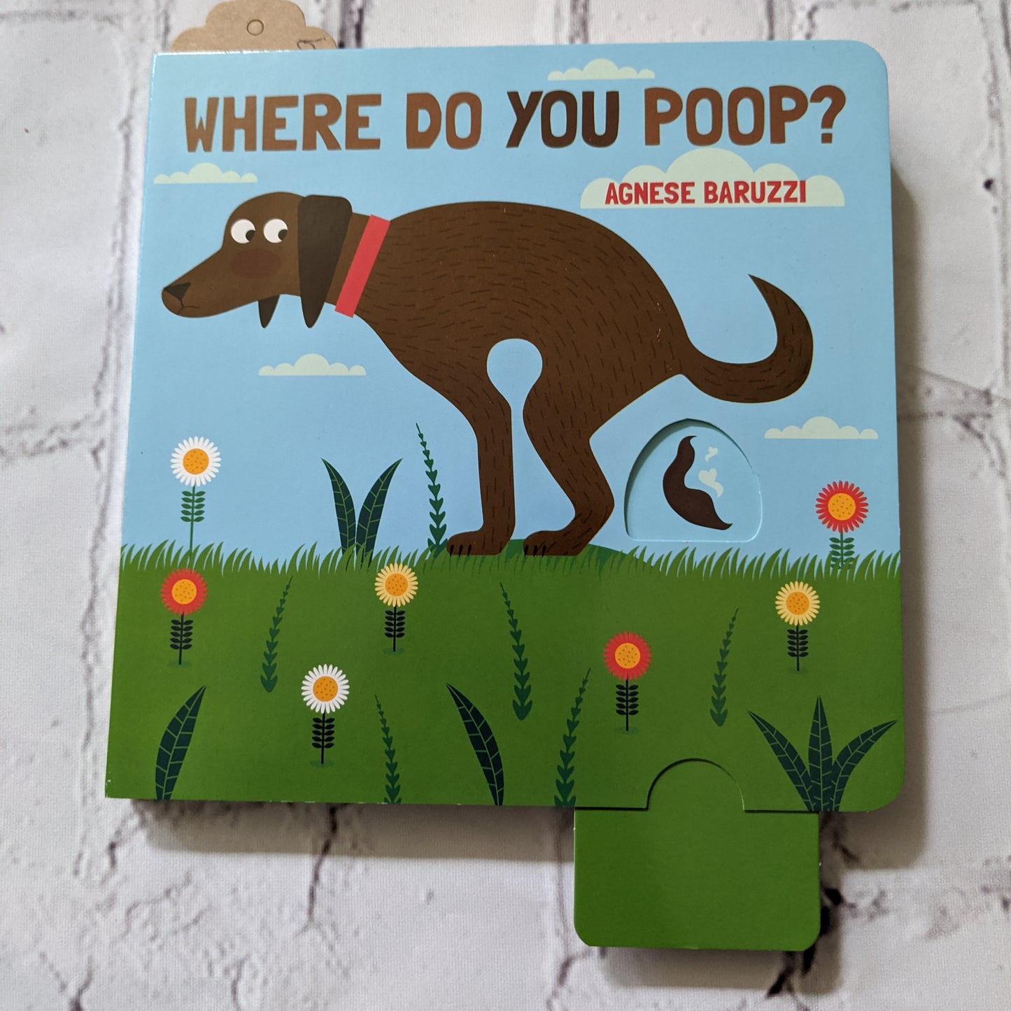 Where Do You Poop?