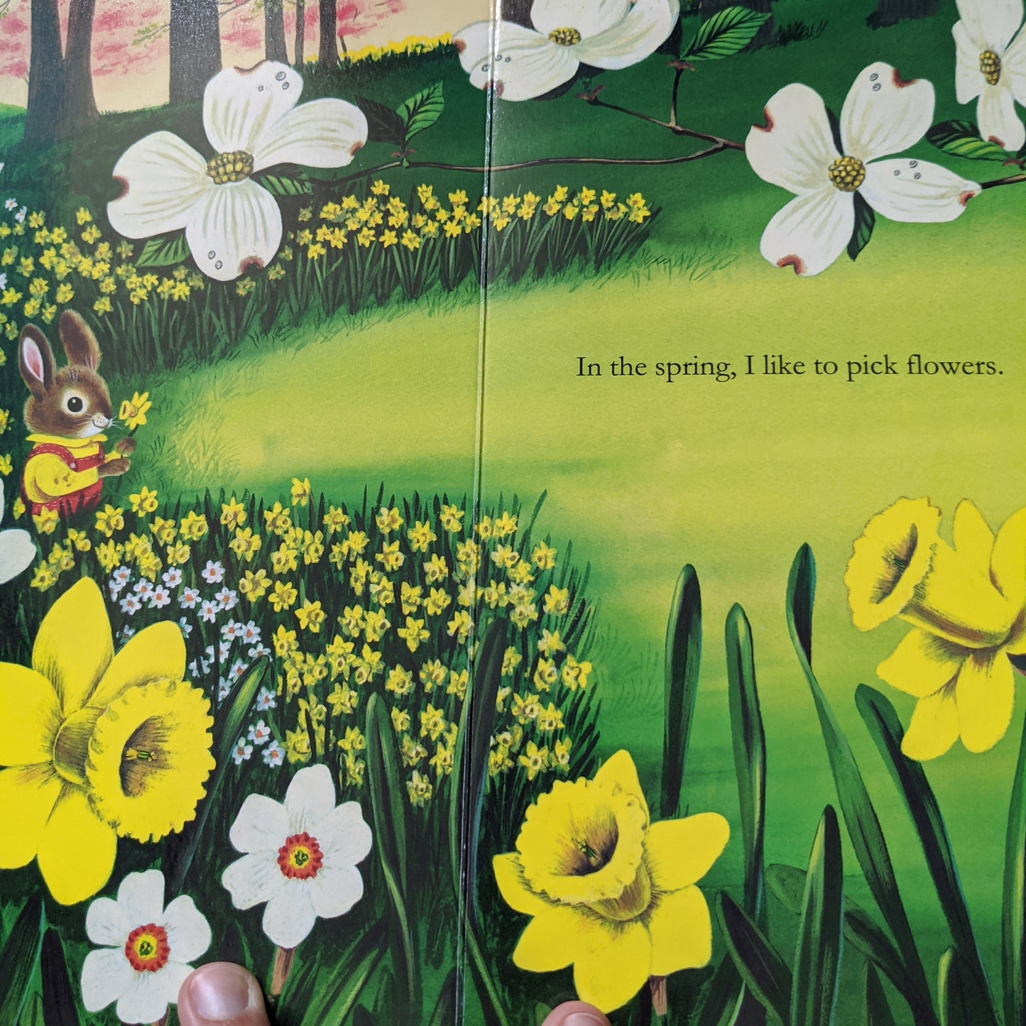 Richard Scarry's I am a Bunny