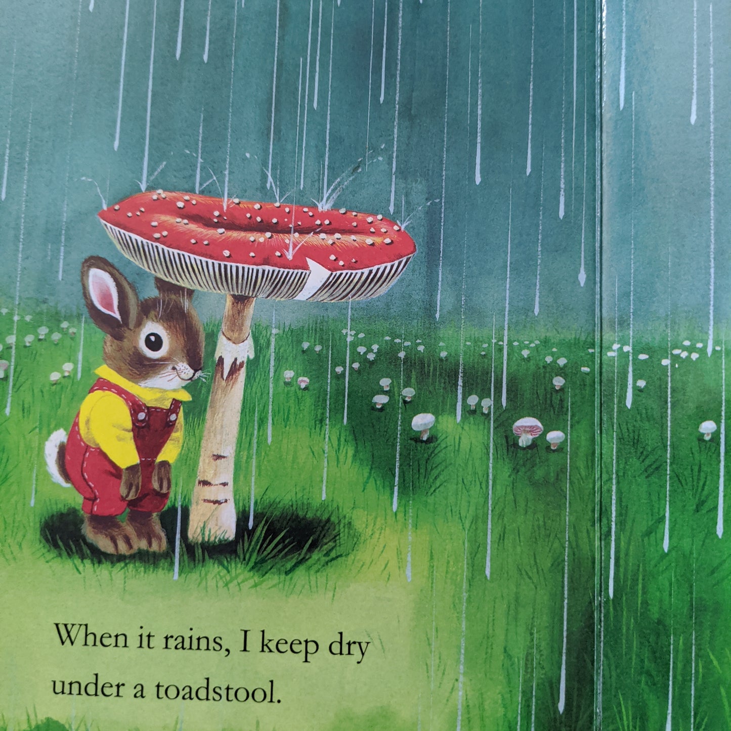 Richard Scarry's I am a Bunny