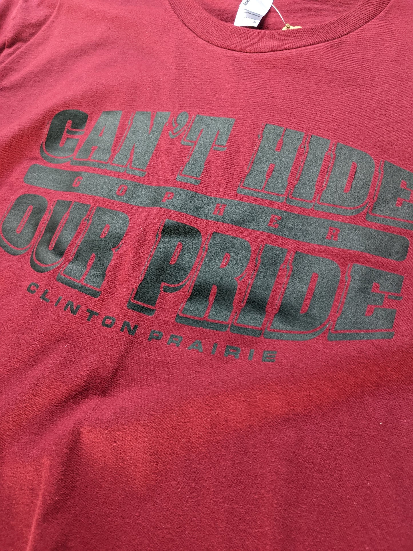 Can't Hide our Pride - Gopher